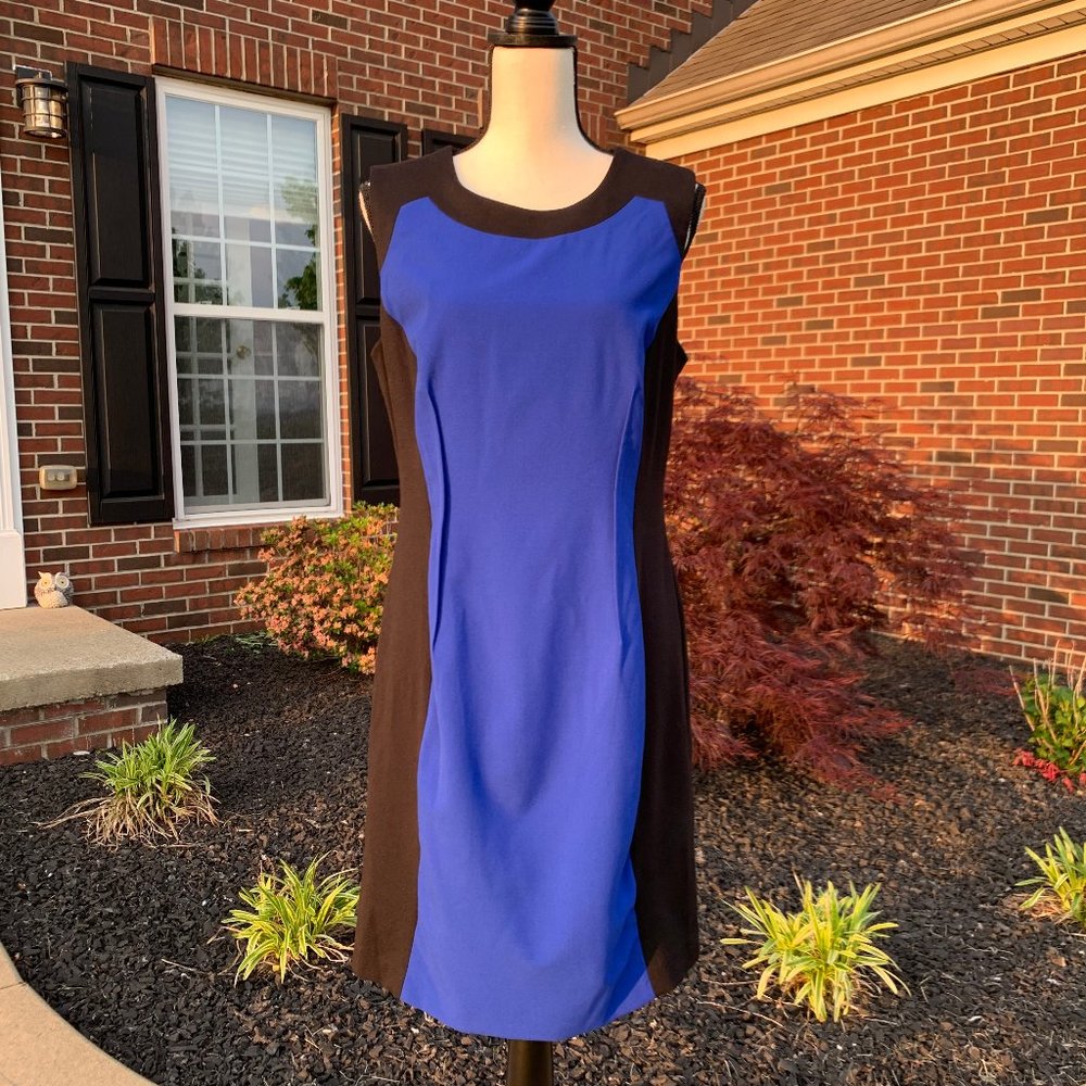 Calvin Klein Sleeveless Colorblock Dress